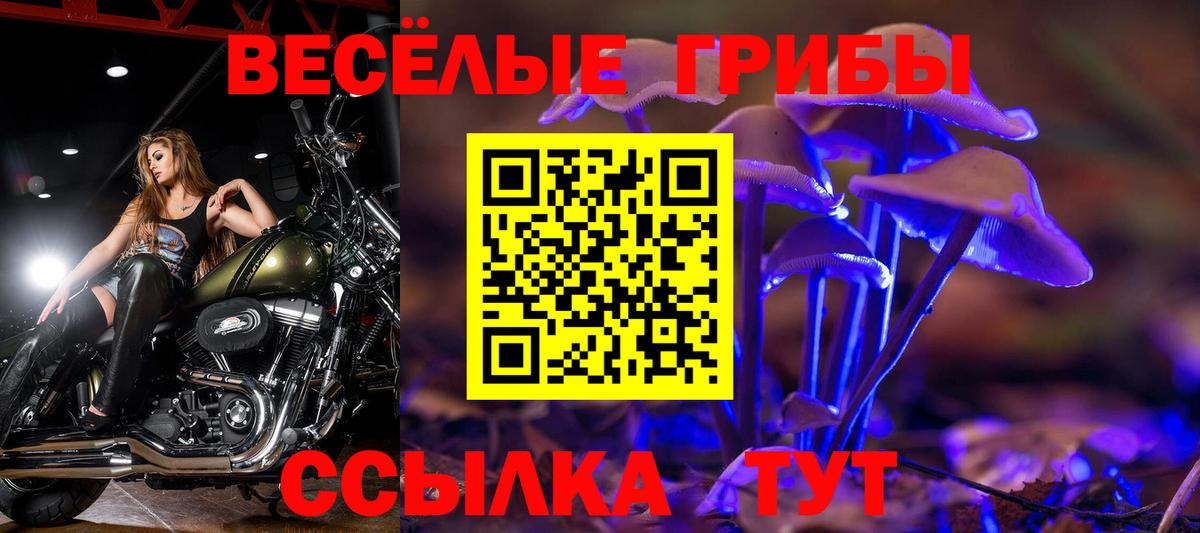 Новоалтайск  Псилоцибиновые грибы ЛСД  Вход с VPN  Псилоцибиновые грибы MAGIC MUSHROOMS 